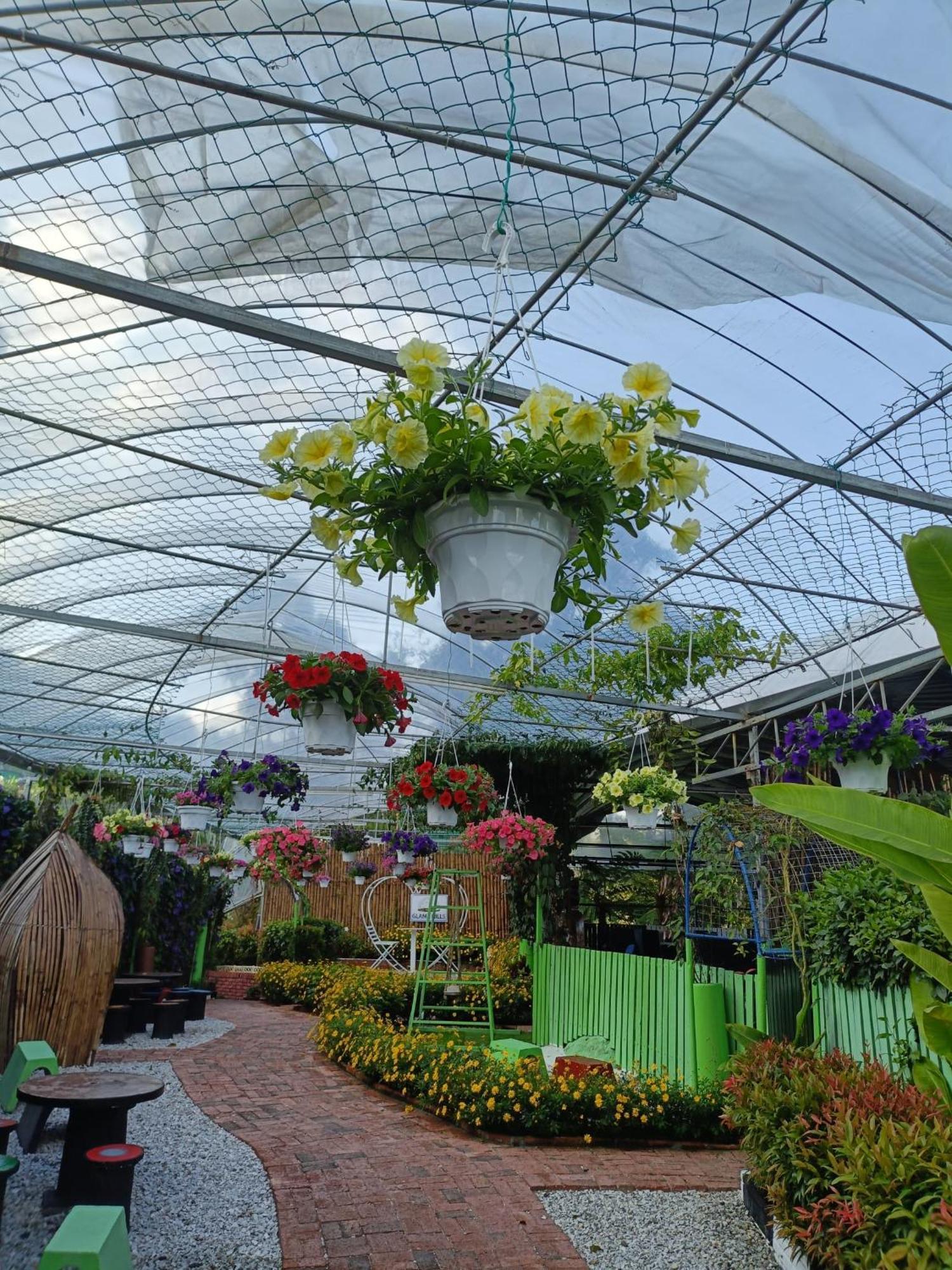 Hotel Glamz Hills Cameron Highlands Exterior foto