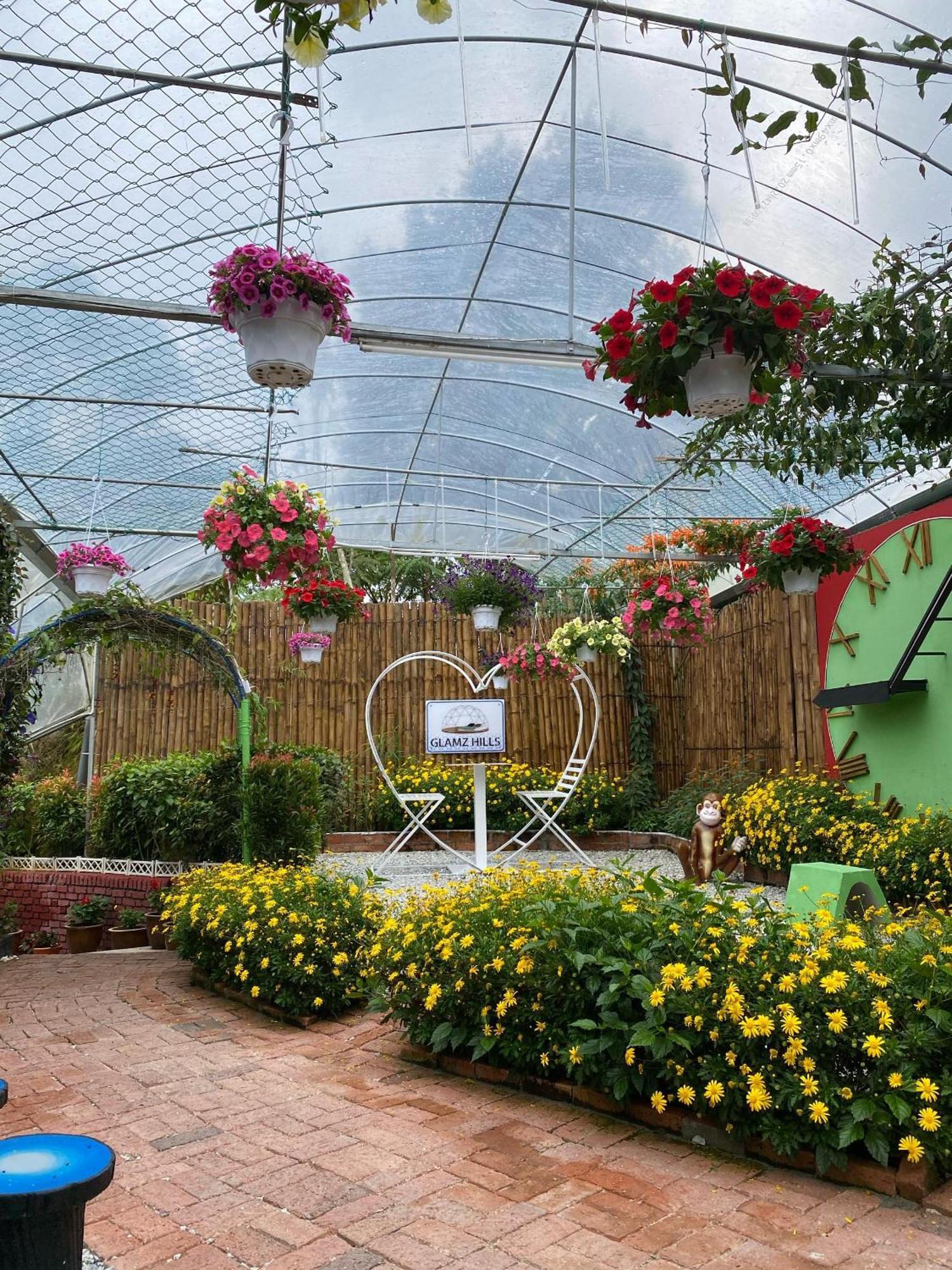 Hotel Glamz Hills Cameron Highlands Exterior foto